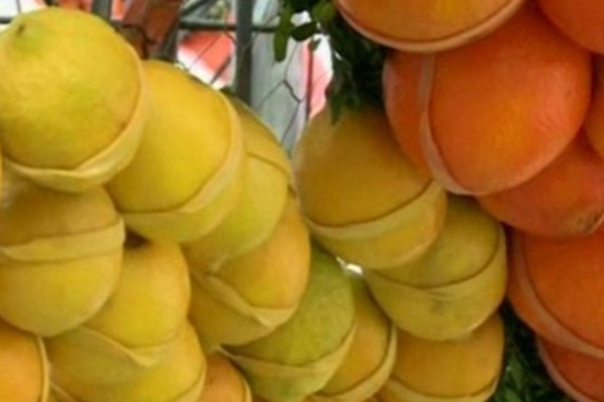 Vente des agrumes et des fleurs de la Fête du Citron 2022